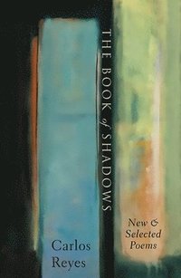 bokomslag Book of Shadows
