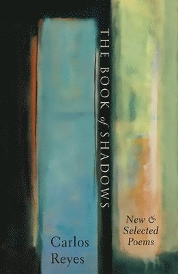 bokomslag Book of Shadows