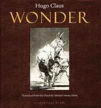 bokomslag Wonder