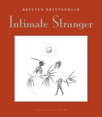 bokomslag Intimate Stranger