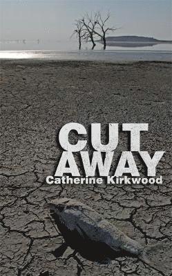 Cut Away 1