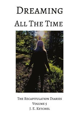 bokomslag Dreaming All The Time: The Recapitulation Diaries Volume 5