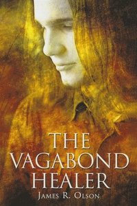 bokomslag The Vagabond Healer