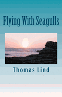 bokomslag Flying With Seagulls: Rituals Of The Mind