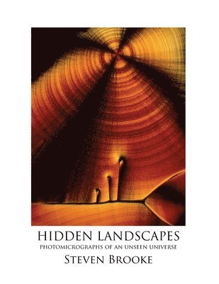 Steven Brooke - Hidden Landscapes, Häftad