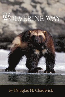 bokomslag The Wolverine Way