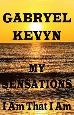 My Sensations: I Am That I Am 1