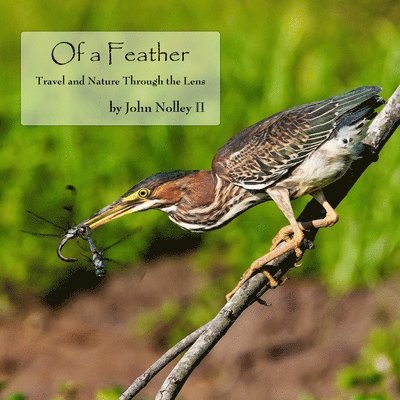 John Nolley - Of a Feather, Häftad