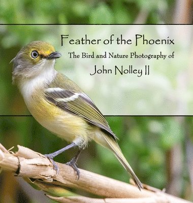 Feather of the Phoenix 1