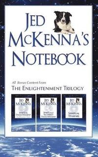 bokomslag Jed McKenna's Notebook