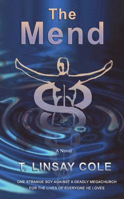 Dawn Howard, T. Linsay Cole - The Mend, Häftad
