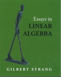 bokomslag Essays in Linear Algebra