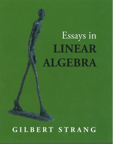 bokomslag Essays in Linear Algebra