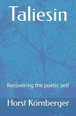 bokomslag Taliesin: Recovering the poetic self