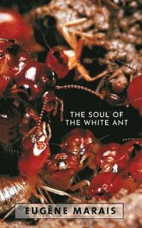 bokomslag The Soul of the White Ant