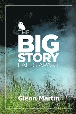 bokomslag big story falls apart