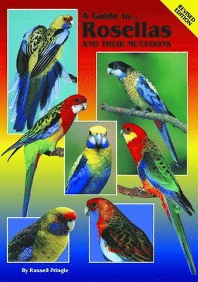 Russell Pringle - Guide to Rosellas and their Mutations, Häftad