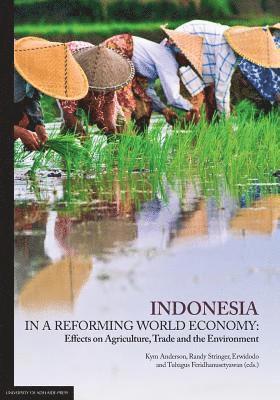 Kym Anderson, Randy Stringer, Erwidodo - Indonesia in a Reforming World Economy: Effects on Agriculture, Trade and the Environment, Häftad