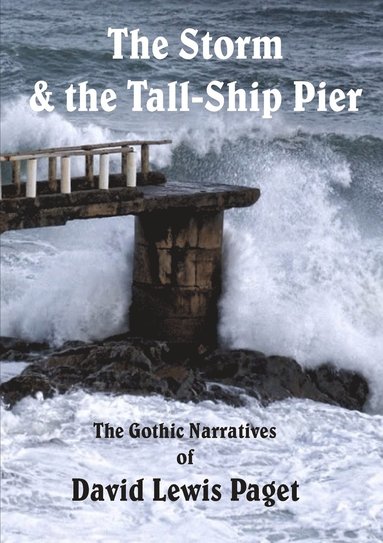 bokomslag Storm & the Tall Ship Pier