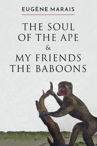 bokomslag The Soul of the Ape & My Friends the Baboons