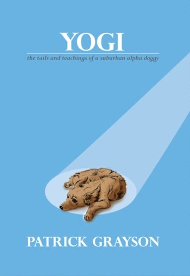 bokomslag Yogi, the Tails and Teachings of a Suburban Alpha Doggy
