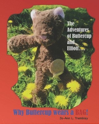 bokomslag Why Buttercup Wears a BAG!: The Adventures of Buttercup and Elliott....