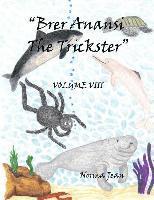 bokomslag Brer Anansi the Trickster