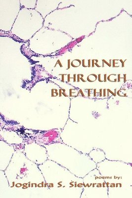 bokomslag Journey Through Breathing