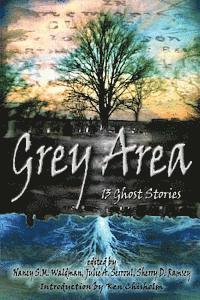 bokomslag Grey Area: 13 Ghost Stories