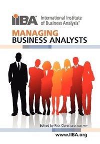 bokomslag Managing Business Analysts