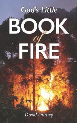 David Darbey - God's Little Book of Fire, Häftad
