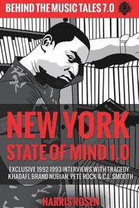 bokomslag New York State of Mind 1.0