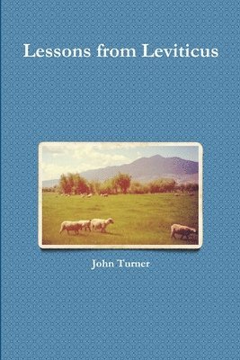 John Turner - Lessons from Leviticus, Häftad