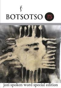 bokomslag Botsotso 15