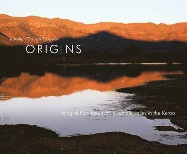 bokomslag Origins - song of Nooitgedacht a remote valley in the Karoo