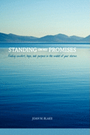 bokomslag Standing on His Promises: Finding Comfort, Hope, and Purpose in the Midst of Your Storm