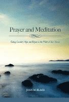 Prayer and Meditation: Finding Comfort, Hope, and Purpose in the Midst of Your Storm 1