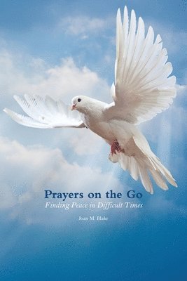 bokomslag Prayers on the Go: Finding Peace in Difficult Times