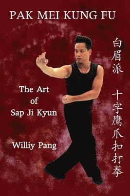 Pak Mei Kung Fu