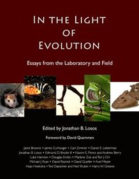 bokomslag In the Light of Evolution