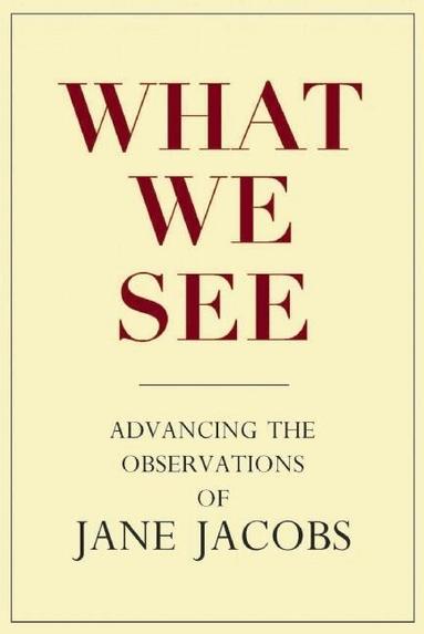 Stephen A. Goldsmith, Lynne Elizabeth - What We See, Inbunden