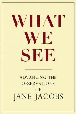 Stephen A. Goldsmith, Lynne Elizabeth - What We See, Inbunden