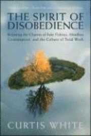 bokomslag Spirit of Disobedience
