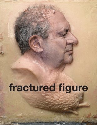 Fractured Figure: Vol. II 1