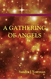 bokomslag A Gathering Of Angels