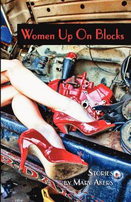 Mary Akers - Women Up On Blocks, Häftad