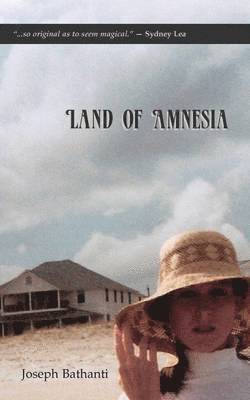 Land of Amnesia 1