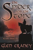 Spider and the Stone
