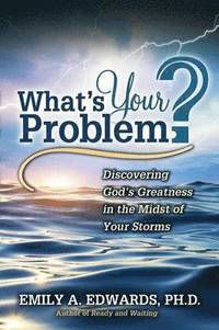 bokomslag What's Your Problem? Discovering God's Greatness in the Midst of Your Storms