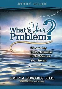 bokomslag What's Your Problem? Discovering God's Greatness in the Midst of Your Storms: Study Guide